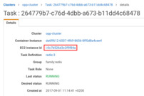 ../../_images/220_containerinstance.thumb.jpg